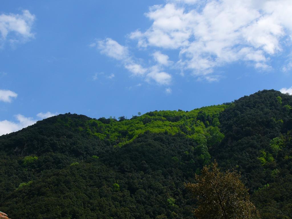 Mas Els Terrats Vendégház Susqueda Kültér fotó